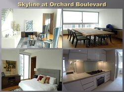 Skyline @ Orchard Boulevard (D9), Apartment #288350311